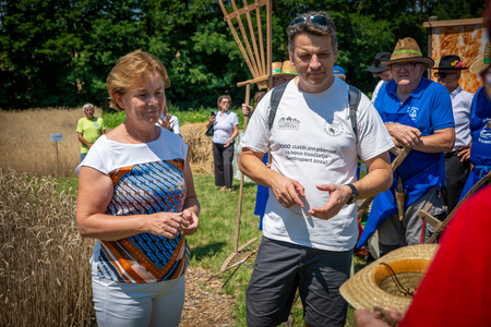 Dobrovnik - 2000 semen - ZETEV 2025-1174707